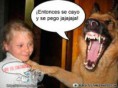 /album/fotogaleria1/images-4-jpg1/